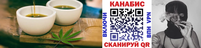 Купить закладки  Волхов  Cannafood конопля 