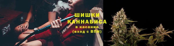 трава Каменногорск