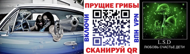Купить закладки  Волхов  Галлюциногенные грибы мухоморы 